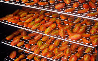Food Dehydrator Buyer’s Guide